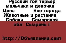 Русский той-терьер мальчики и девочки › Цена ­ 8 000 - Все города Животные и растения » Собаки   . Самарская обл.,Сызрань г.